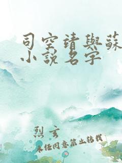 司空靖与苏月汐小说名字