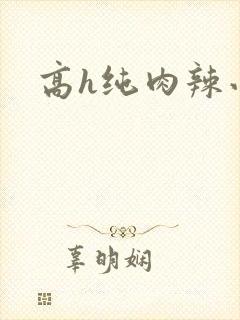 高h纯肉辣小说