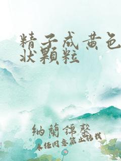 精子成黄色果冻状颗粒