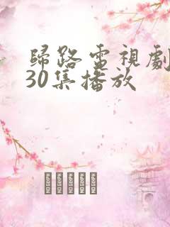 归路电视剧全集30集播放