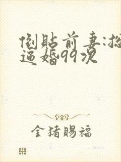 倒贴前妻:总裁逼婚99次