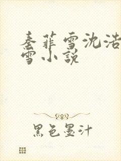 秦菲雪沈浩秦菲雪小说