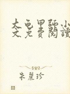 大龟甲师小说原文免费阅读