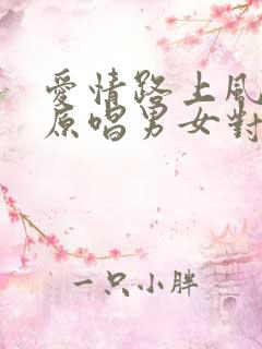 爱情路上风雨多原唱男女对唱