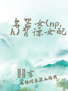 名器女(np,h)背德女配h