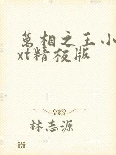 万相之王小说txt精校版