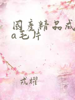 国产精品成人aa毛片