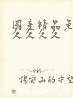 国产精品免费久久久久久