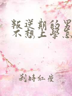 叛逆期的男孩子不想上学怎么办