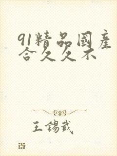 91精品国产综合久久不