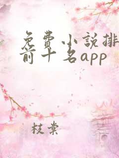 免费小说排行榜前十名app