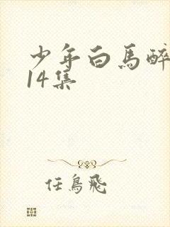 少年白马醉春风14集