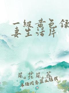 一级黄色录像夫妻生活片