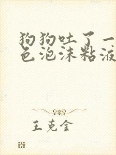 狗狗吐了一滩白色泡沫粘液方法