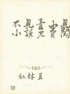 不见青山见我时小说免费阅读