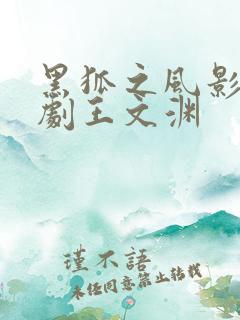 黑狐之风影电视剧王文渊