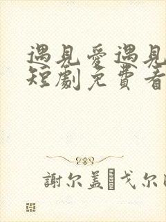 遇见爱遇见幸福短剧免费看