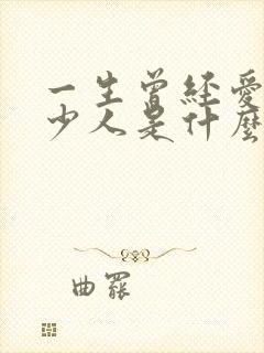 一生曾经爱过多少人是什么歌