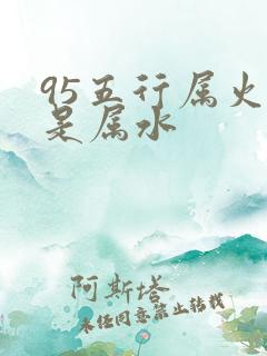 95五行属火还是属水