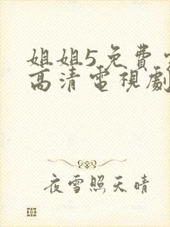 姐姐5免费完整高清电视剧看