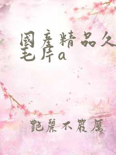 国产精品久久久毛片a