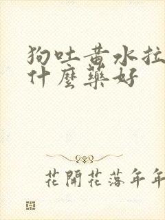 狗吐黄水拉稀吃什么药好