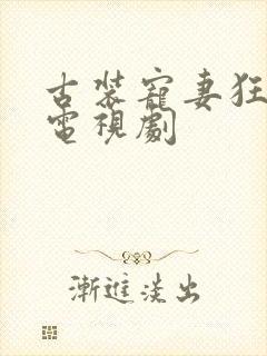 古装宠妻狂魔的电视剧