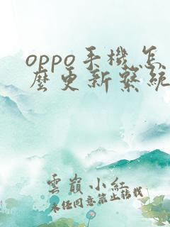 oppo手机怎么更新系统版本