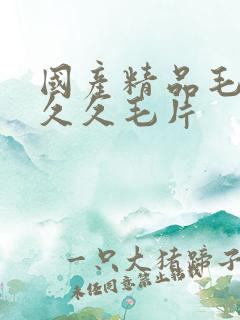 国产精品毛片久久久毛片