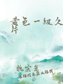 黄色一级久久久片