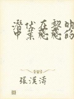 潜伏在黎明之前中叶飞飞的孩子呢