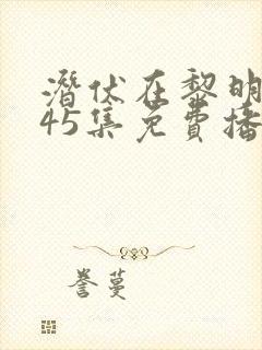 潜伏在黎明之前45集免费播放