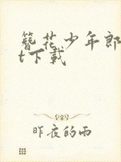 簪花少年郎txt下载