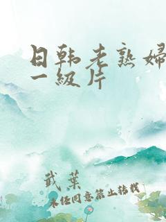 日韩老熟妇黄色一级片