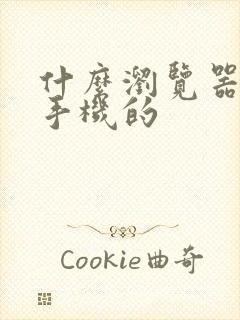 什么浏览器好用手机的