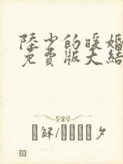 陆少的暖婚新妻免费版大结局