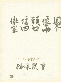 微信头像图片一家四口两个儿子