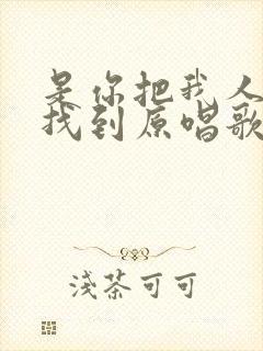 是你把我人海中找到原唱歌词