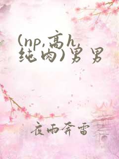(np,高h,纯肉)男男