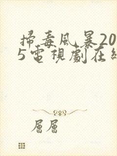 扫毒风暴2025电视剧在线观看高清