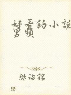 好看的小说推荐男频