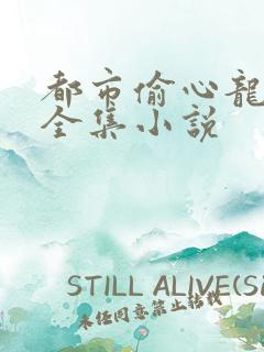 都市偷心龙爪手全集小说