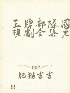 王牌部队国产电视剧全集免费