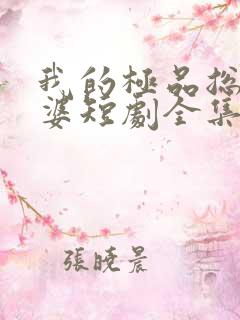 我的极品总裁老婆短剧全集免费