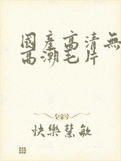 国产高清无遮挡高潮毛片