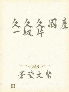 久久久国产黄色一级片