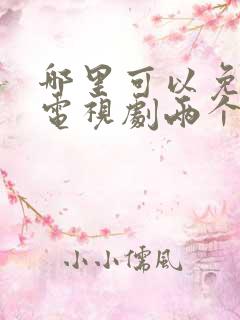 哪里可以免费看电视剧两个人的小森林