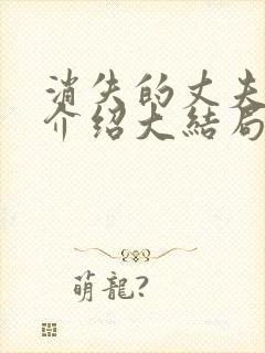 消失的丈夫剧情介绍大结局