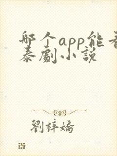 哪个app能看泰剧小说