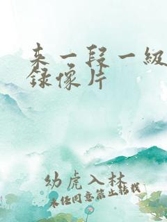 来一段一级黄色录像片